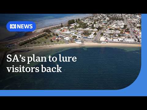 South Australia offers vouchers to visit areas affected by the algal bloom | ABC NEWS