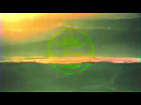 halfnoise - Scooby's in the Back (Official Music Video)