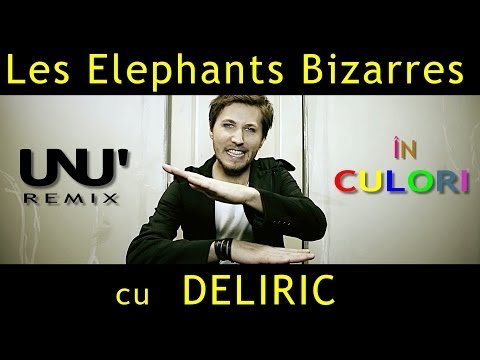 Les Elephants Bizarres & Deliric -In culori (UNU' Remix)