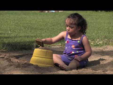 Tech Talk: All About Mosquitoes