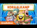 ALLES OVER SPONGEBOB IN 'KORAALKAMP' ?? | WIST JE DATJE-QUIZ | Nickelodeon Nederlands