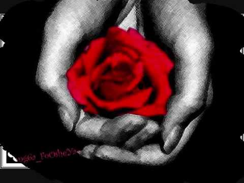 download lagu mp3 mp4 Elveda Deme Bana Lyrics, download lagu Elveda Deme Bana Lyrics gratis, unduh video klip Elveda Deme Bana Lyrics