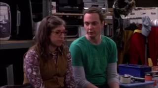 Sheldon and Amy: The Only Conclusion