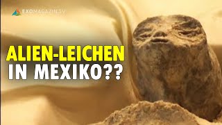 Alien-Leichen im mexikanischen Parlament? — ERSTKONTAKT Spezial