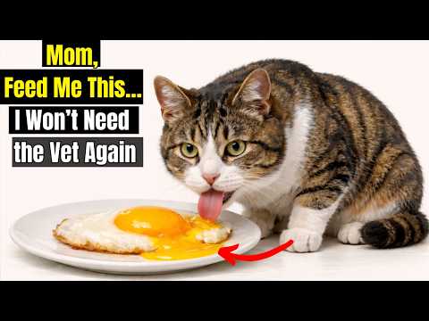15 Human Foods That Can Fix Almost Anything in Cats (Vets Don’t Want You to Know)