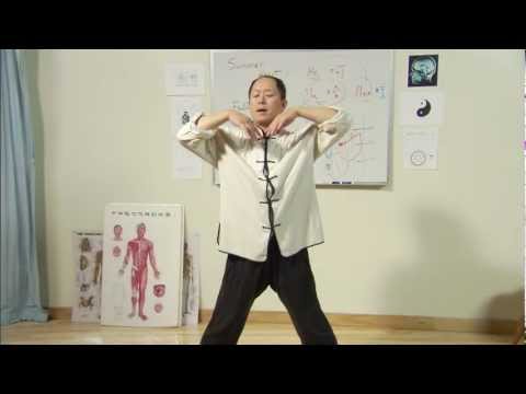 Four Seasons Qigong Video