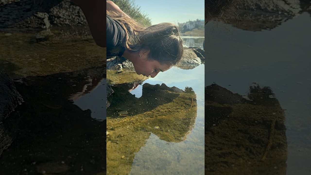 EASY couples Photoshoot idea! #tutorial #photoideas #photoshootlocation