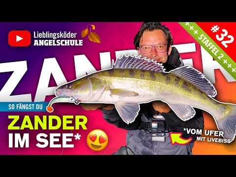 Zanderangeln im See vom Ufer (mit Gummifisch) 🔥🎣👍🏼