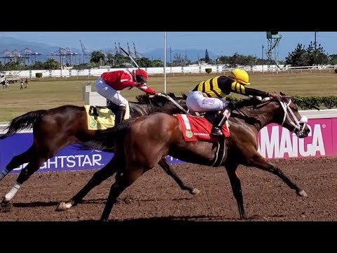 PRODIGIOUS POWER (D.BEHARIE) DEFEATS THE PREVIOUSLY UNDEFEATED SIR DON TO WIN THE DYE JOB SPRINT🐎🏆🇯🇲