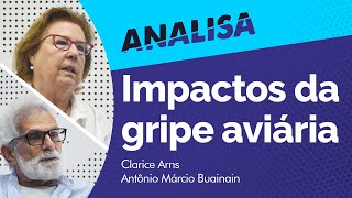 Miniatura do vídeo