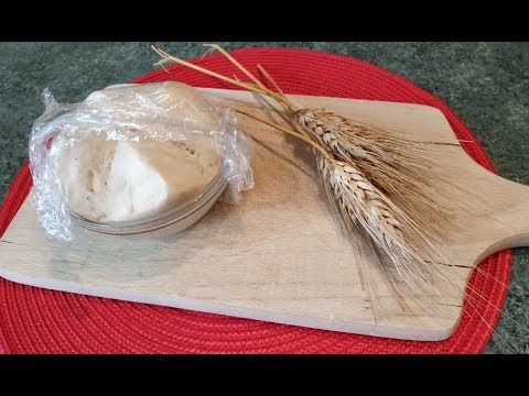 download lagu mp3 mp4 Pasta Madre Congelata, download lagu Pasta Madre Congelata gratis, unduh video klip Pasta Madre Congelata