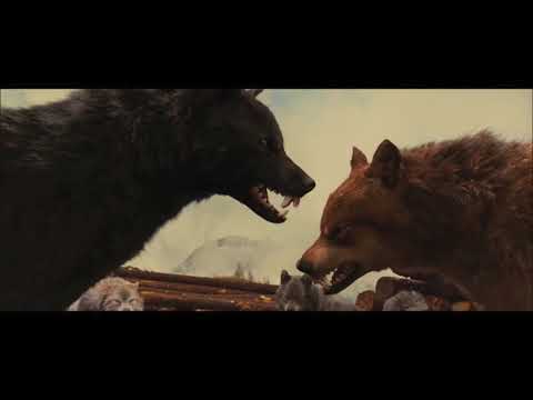 Twilight Wolves- Believer