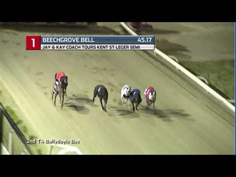 2020 KENT ST LEGER - 1ST SEMI - T1 BEECHGROVE BELL