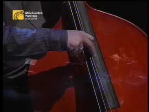 Jozsef Horvath Barcza - Upright Bass Solo