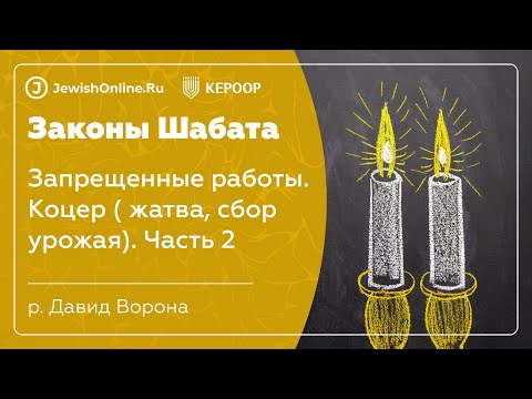 Законы Шабата. Урок 22: Запрещенные работы. Коцер (жатва, сбор урожая)