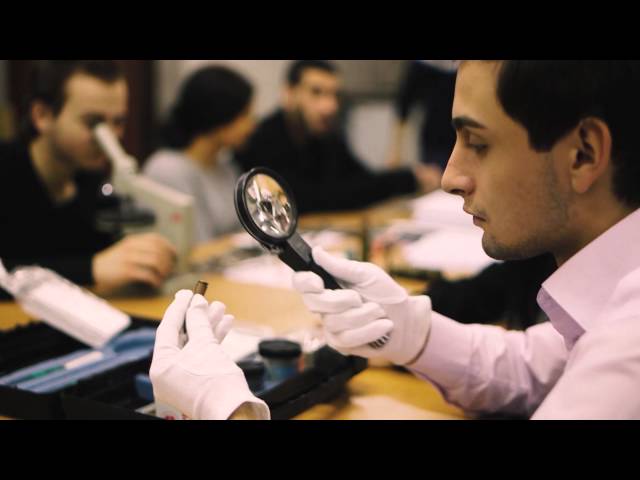 Grigol Robakidze University video #1