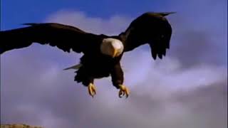 &#39;MAN WALKS AMONG US&#39;     MARTY ROBBINS