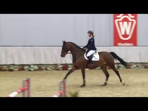 13 Crossing Jordan Stute v. Cancara - Calato