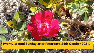 Twenty-second Sunday after Pentecost.