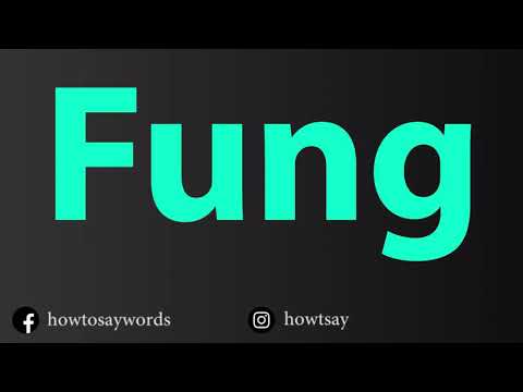 How To Pronounce Fung