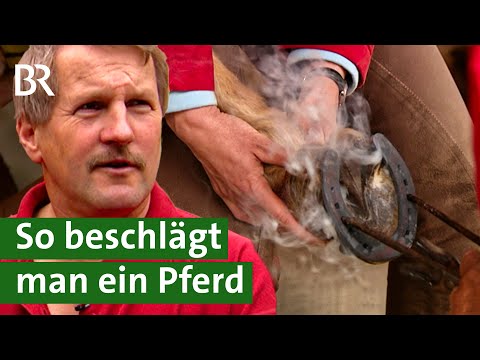 , title : 'Neue Hufeisen fürs Pferd: Unterwegs mit einem mobilen Hufschmied 2008 | Handwerk | Unser Land | BR'