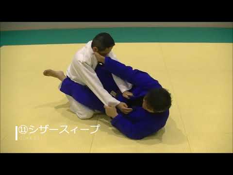 【御茶ノ水ブラジリアン柔術講座】初心者が覚えるべき３０の技術　ダイジェスト