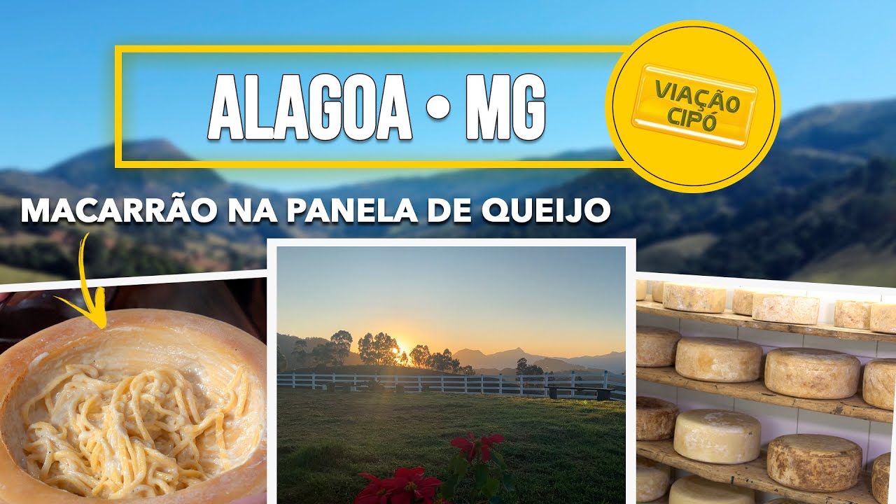 ALAGOA: A terra do MELHOR QUEIJO DO MUNDO!  | A Viação Cipó te conta tudo!