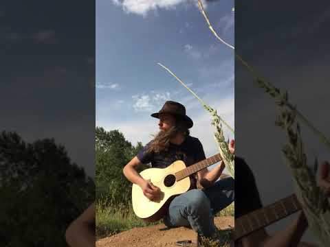 Time of the Preacher - Willie Nelson Cover