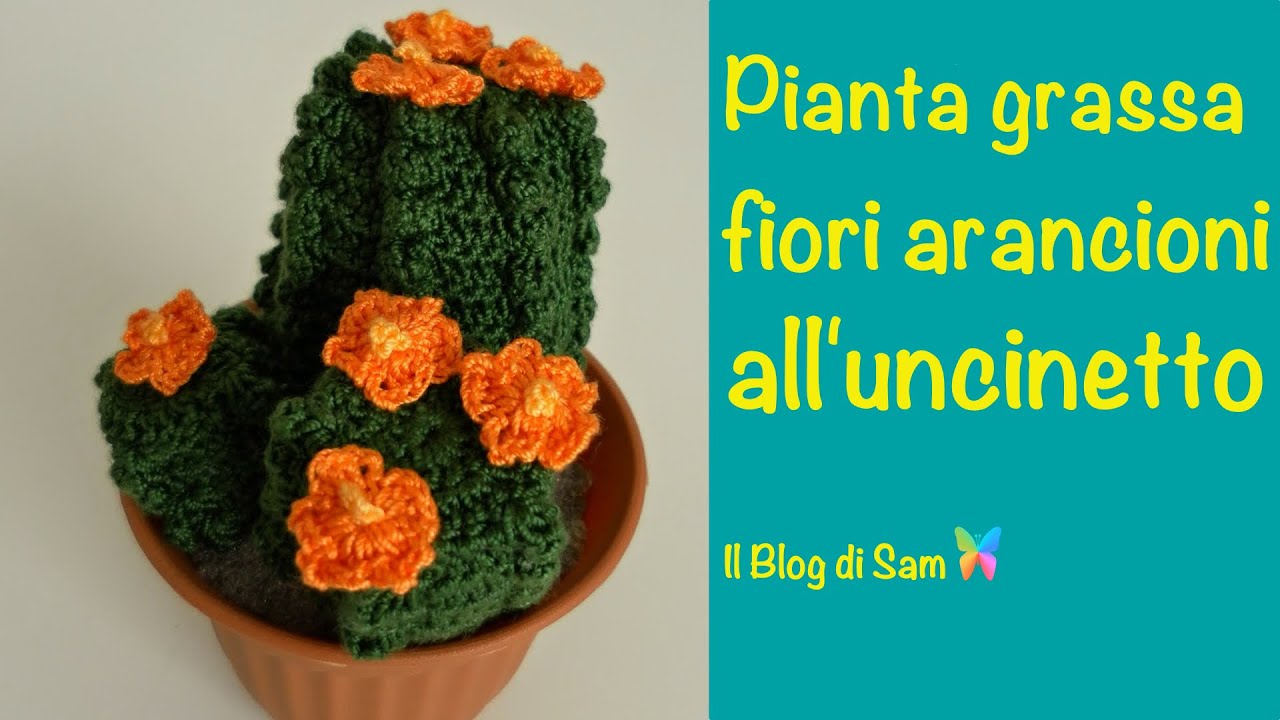 Spiegazione della pianta grassa all'uncinetto con i Fiori arancioni