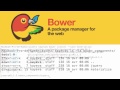Use Bower For Your CSS Libraries Installation