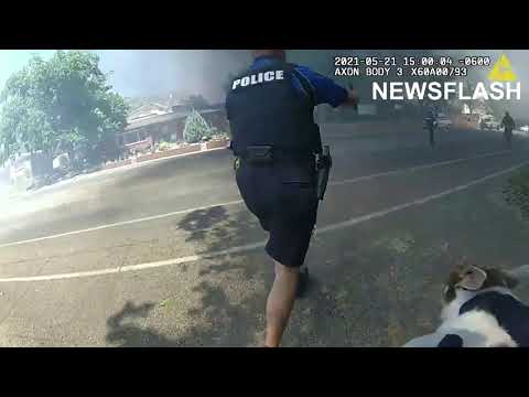 Cops In Burning House To Save Trapped Dog