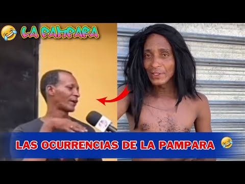 LAS OCURRENCIAS DE LA PAMPARA  SUS VIDEOS MÁS VIRALES 🤣🤣