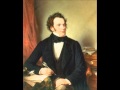 Franz Schubert - Symphony No. 4 in C minor, D. 417, "Tragic": I. Adagio molto - Allegro vivace