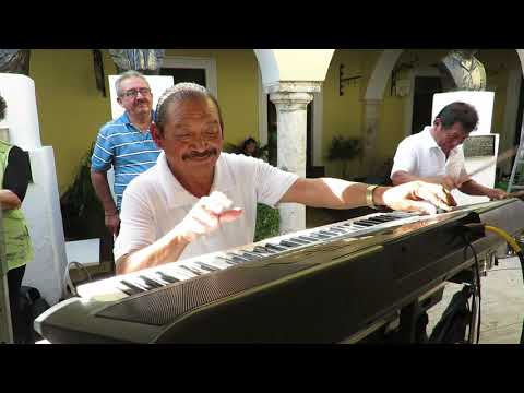 download lagu mp3 mp4 Chicken Lucia, download lagu Chicken Lucia gratis, unduh video klip Chicken Lucia