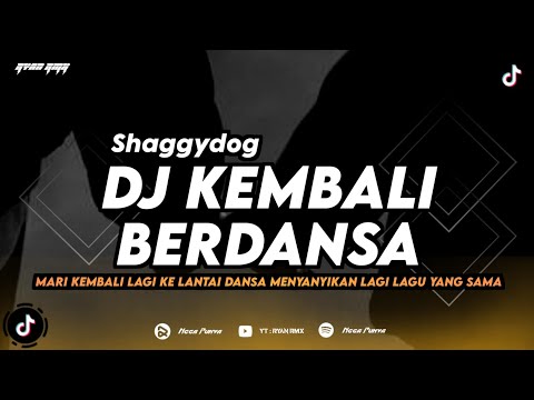 DJ KEMBALI BERDANSA - SHAGGYDOG (MARI KEMBALI LAGI KE LANTAI DANSA) REMIX TERBARU 2024