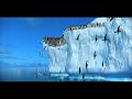 Happy Feet Swimming Scene