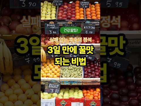 GAP인증 제주 레드키위 고당도 달콤한 키위 산지직송 제철과일 3kg 5kg