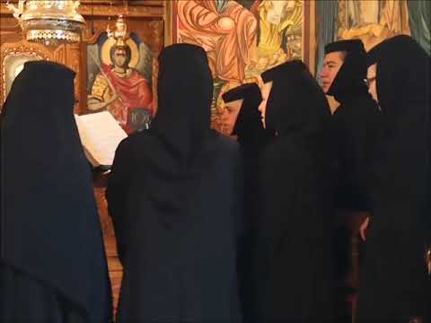 20190602 NICOLAE BALASOIU - DUMINICA A 6 A DUPA PASTI – VINDECAREA ORBULUI DIN NASTERE