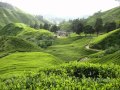 Paradise - Maher Zain (breathtaking scenes) 
