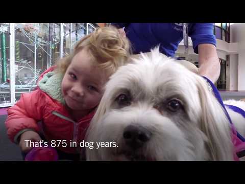 "Our whole world" (15 seconds) - 2017 Advertising Campaign