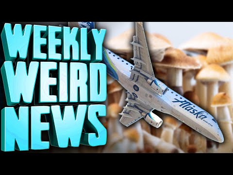Mushroom Pilot Finally Explains Himself - Weekly Weird News