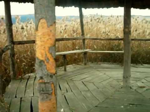 Stufarisurile de la Sic.avi