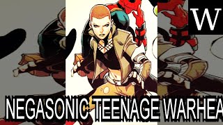 NEGASONIC TEENAGE WARHEAD - WikiVidi Documentary