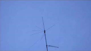 NICK CAVE.Deanna(acustic versión)