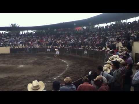 Manganas a Pie Jose Andres Aceves Aceves (Chiringas) 3er Oportunidad 1er Fase Excelencia Charra Huichapan