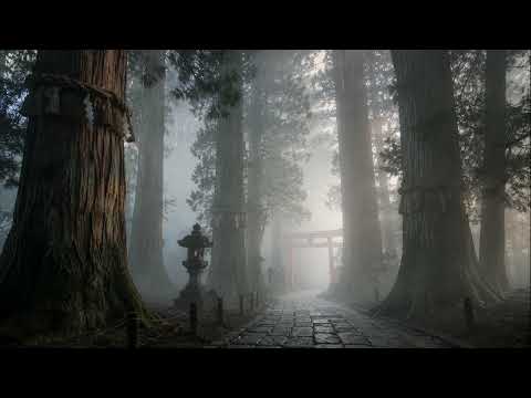 Sounds of the Journey Episode 064 — Isonokami's Ancient Cedars (Biwa) | Nara ambient BGM