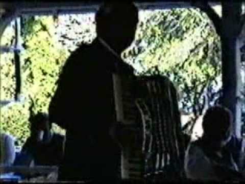 Walter Eriksson Performs for Hälsinge Hambon Group - 1988 - At Solhem - Staten Island New York