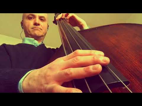 STABLEMATES BASS LINE PLAY ALONG BACKING TRACK