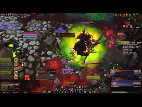 Mythic +18 Darkheart Thicket Timed! DH POV