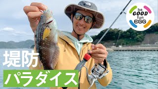 エッグアーム＆エッグショットで狙う。堤防パラダイス！？